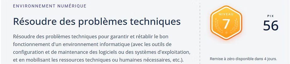 Détail de la certification PIX niveau 7