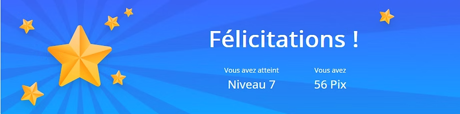 Certification PIX niveau 7 en résolution de problèmes techniques